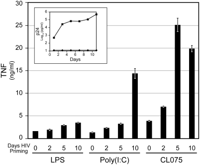 Figure 10