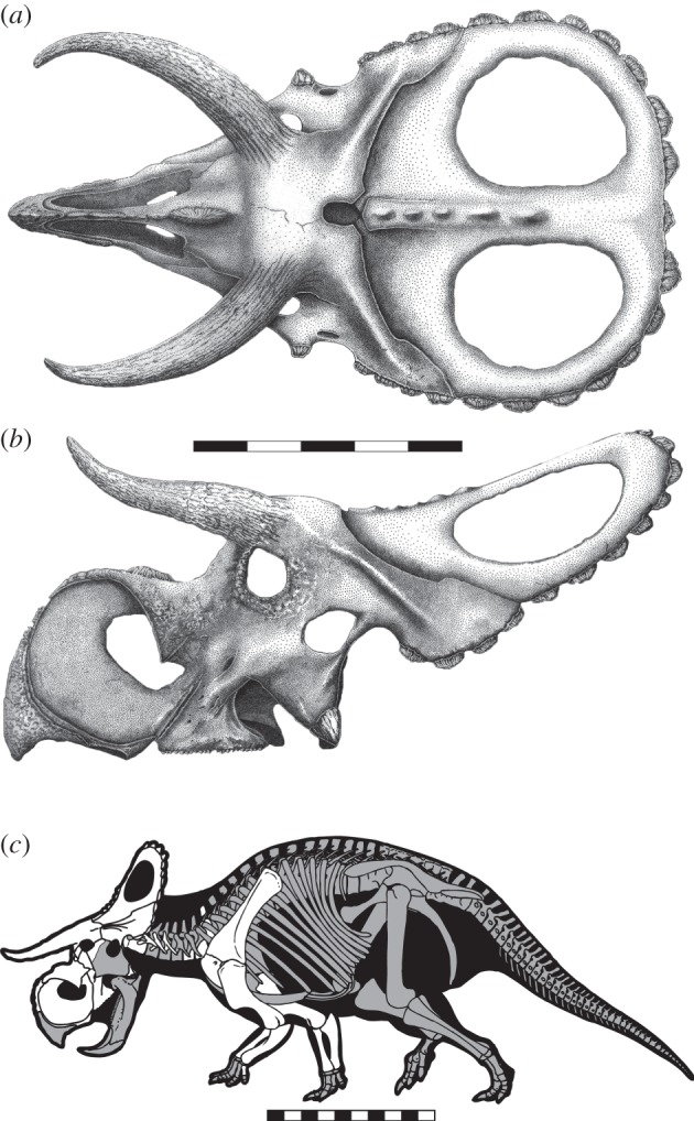 Figure 1.