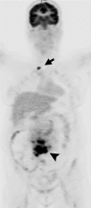 Figure 2a: