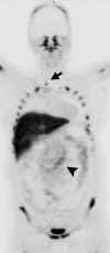 Figure 2c: