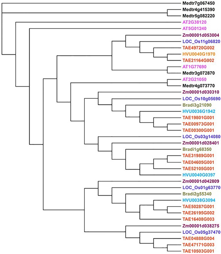 Figure 2