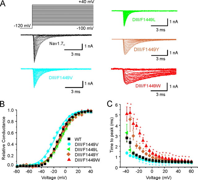 FIGURE 4.