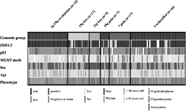 Fig. 3.