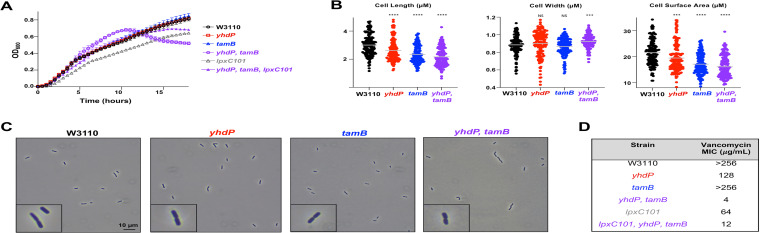 Fig 4