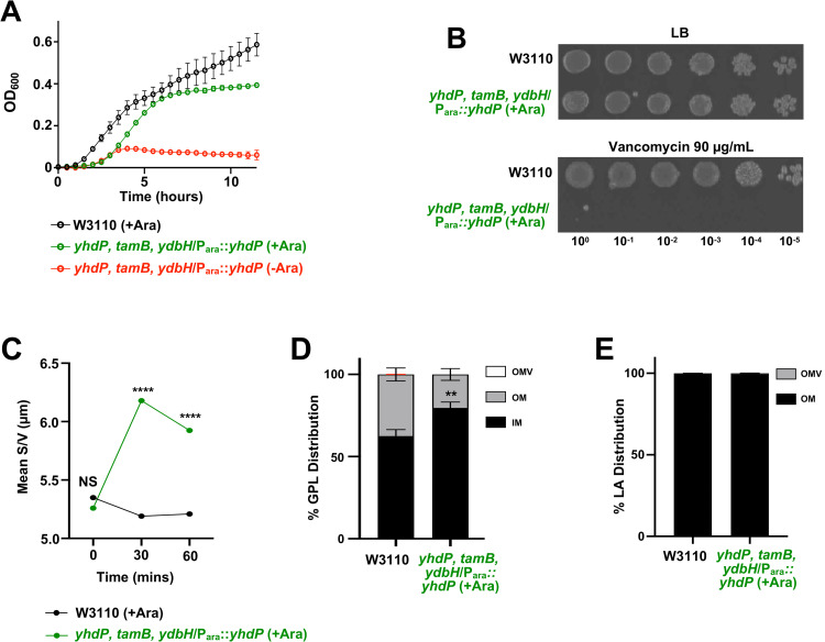 Fig 6