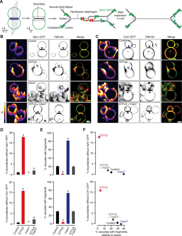 FIGURE 3: