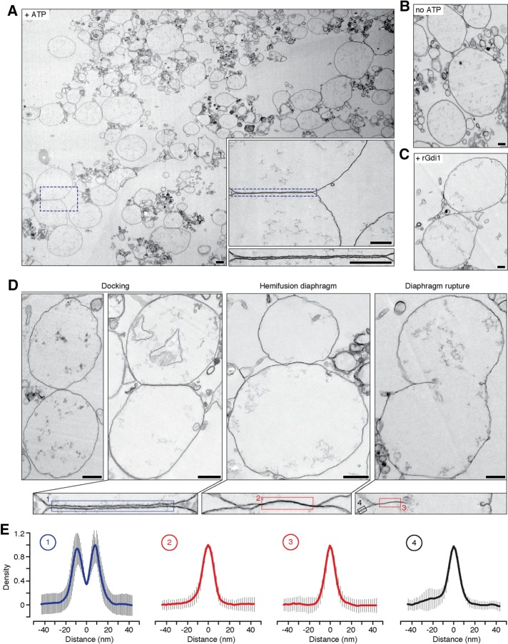 FIGURE 4: