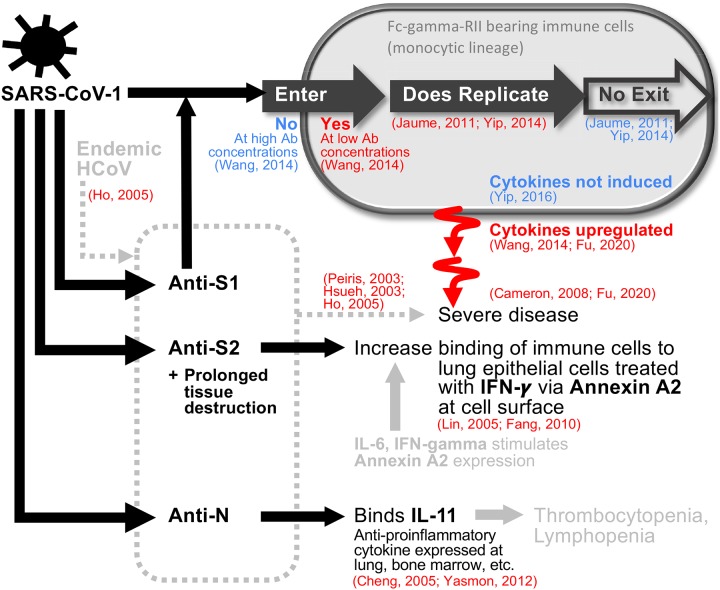 Figure 6: