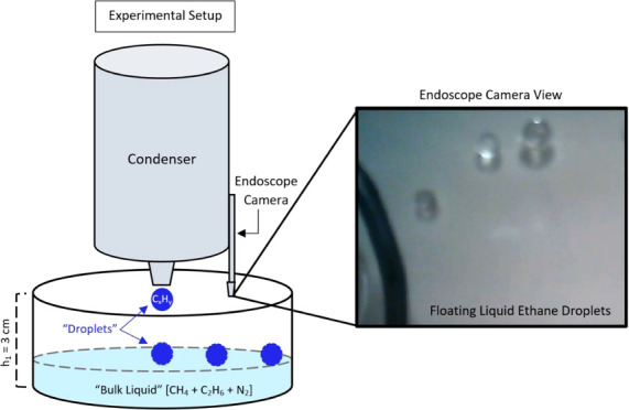 graphic file with name sp2c00311_0010.jpg