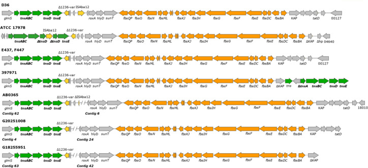 Fig. 3.