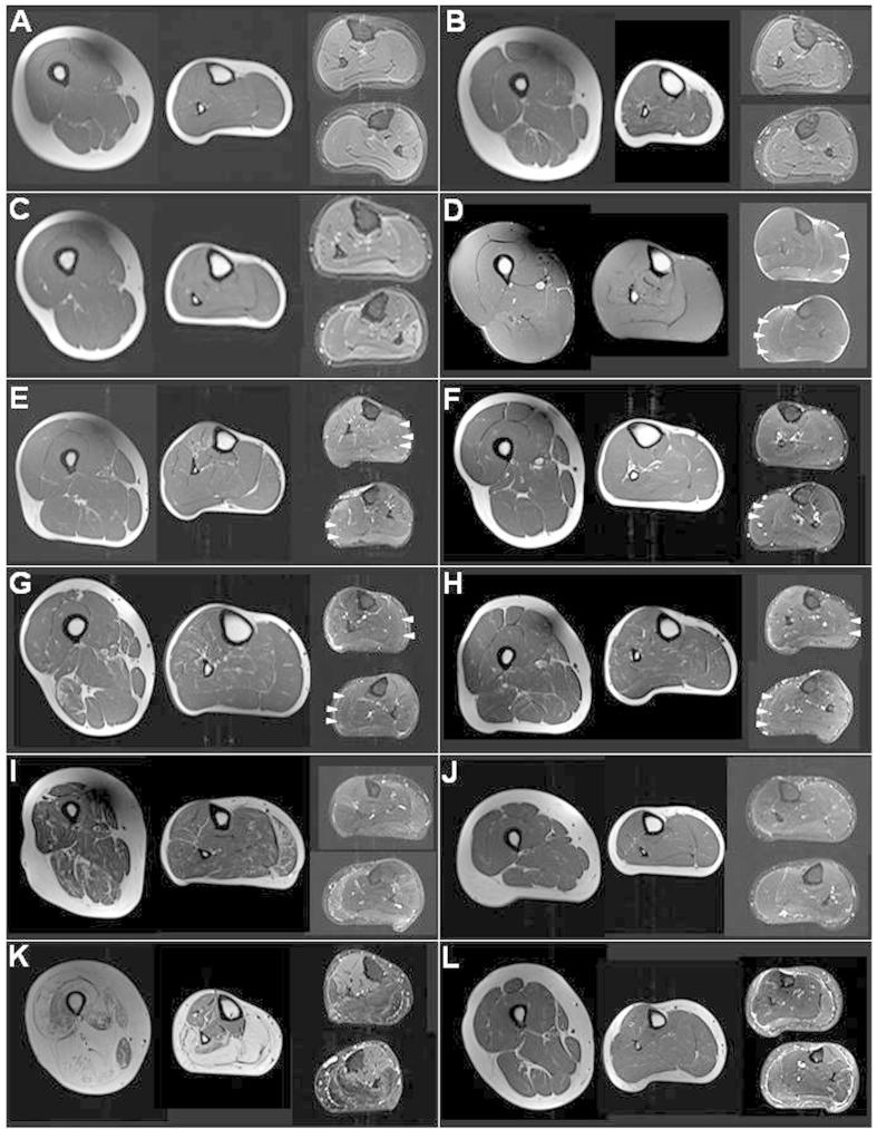 Supplementary Fig. 1