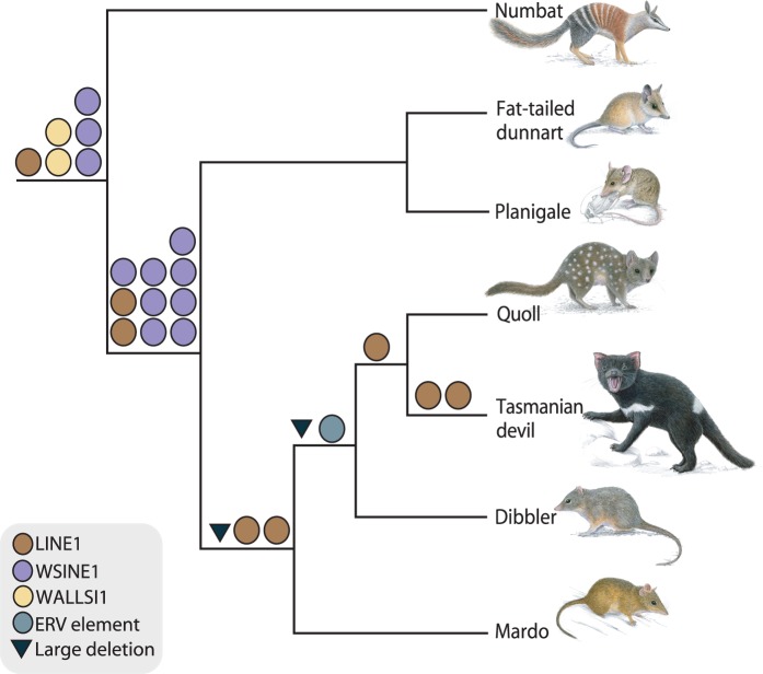 Fig. 4.