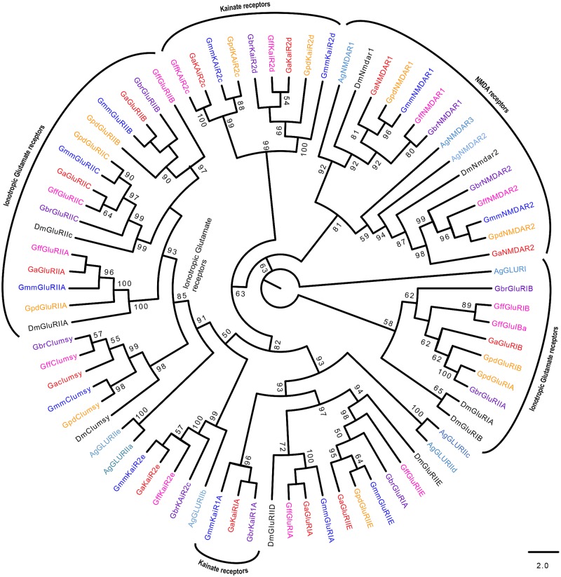 Fig 10