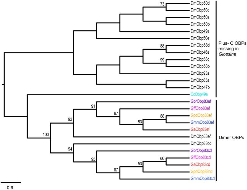 Fig 3