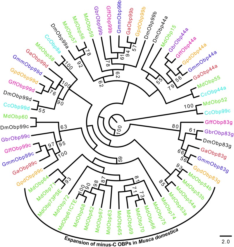 Fig 2