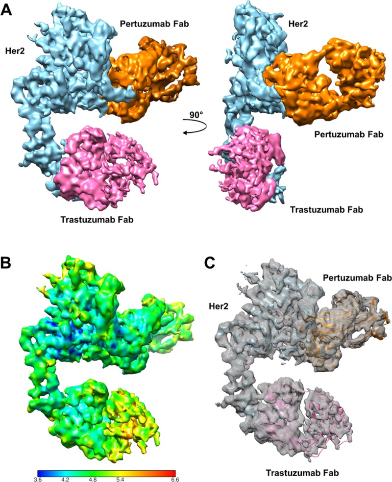 Fig 3