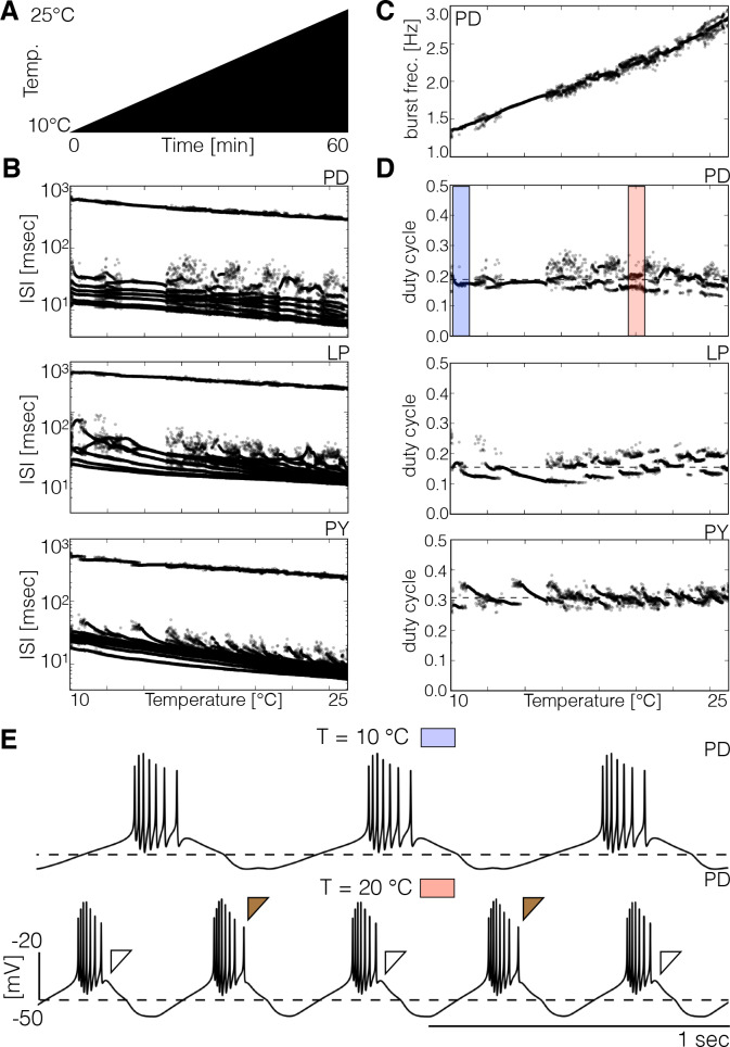 Figure 1—figure supplement 2.