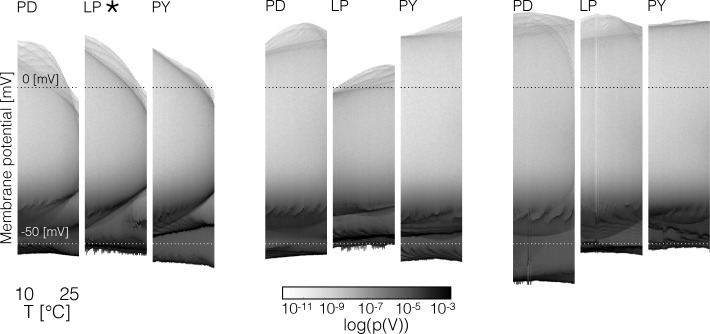 Figure 2—figure supplement 1.