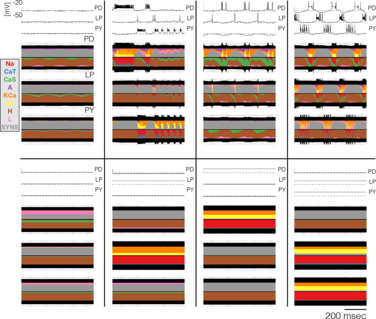 Figure 6—figure supplement 1.