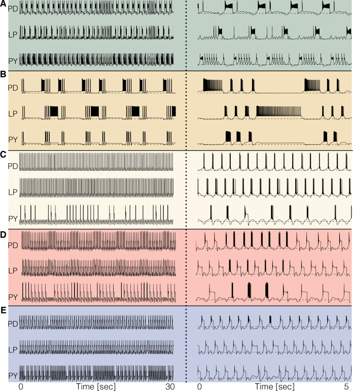 Figure 7.