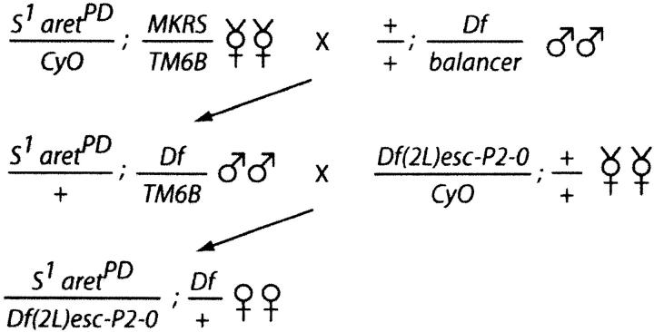 Figure 1.—