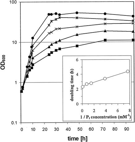 FIG. 1.