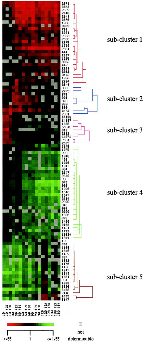 FIG. 2.