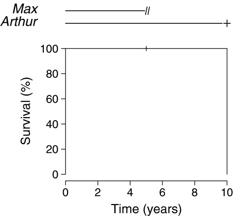 Fig. 2