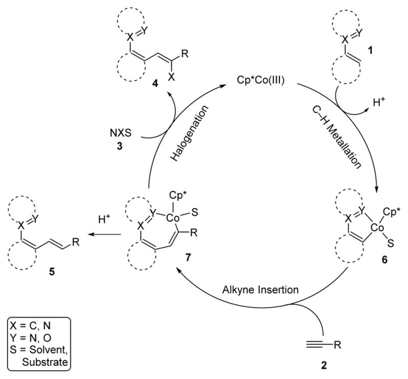 Scheme 3