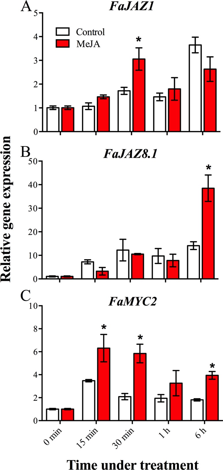 Fig 8