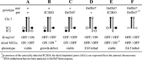 FIG. 7.