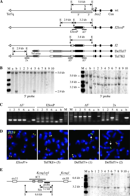 FIG. 3.