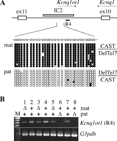 FIG. 5.