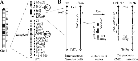 FIG. 1.