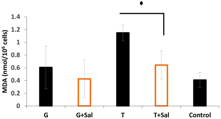 Fig 6