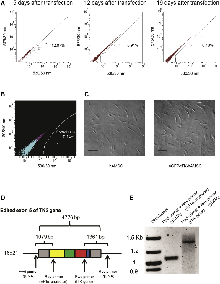 Figure 2