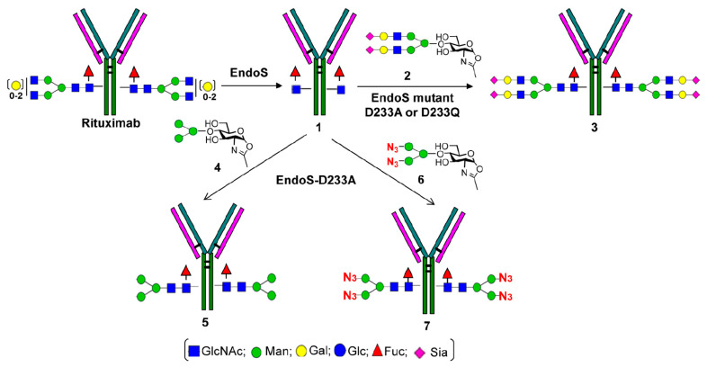 Figure 9