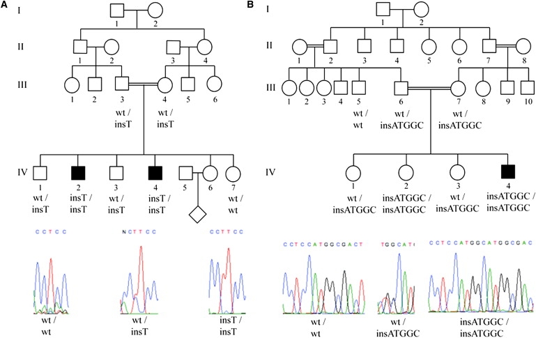 Figure 2