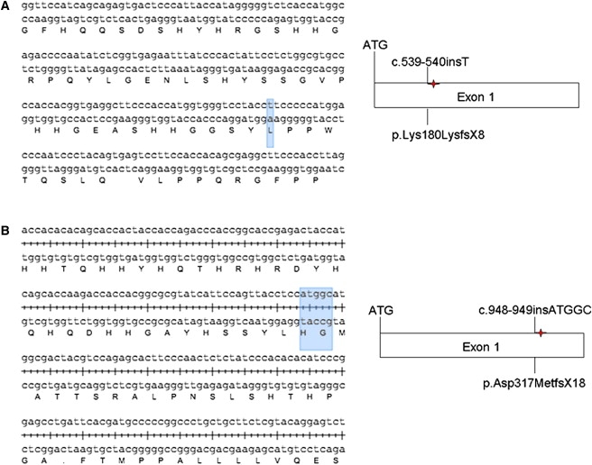 Figure 3