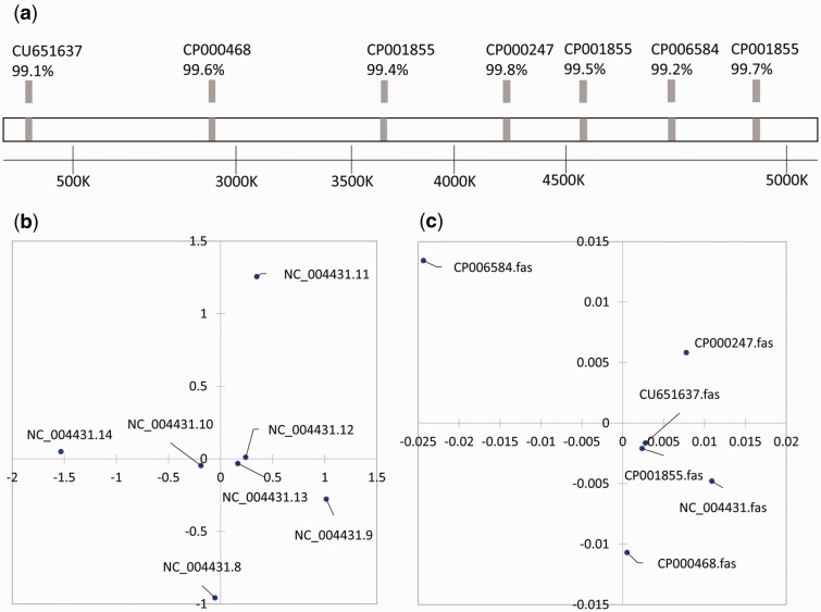 Fig. 6