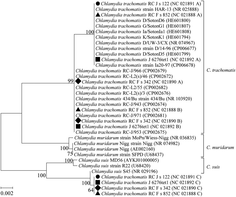 Fig. 3