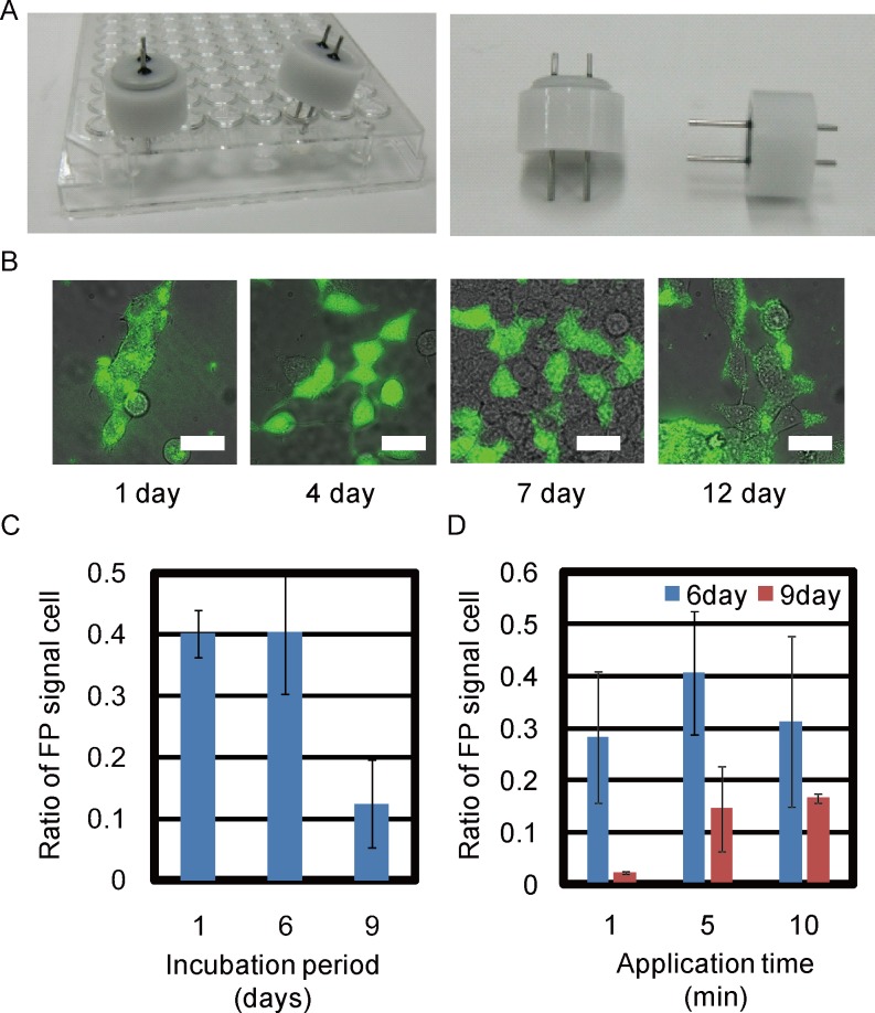 Fig 2