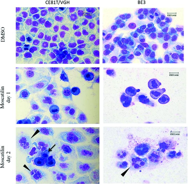 FIG. 2.