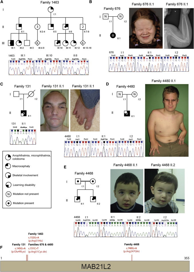 Figure 1