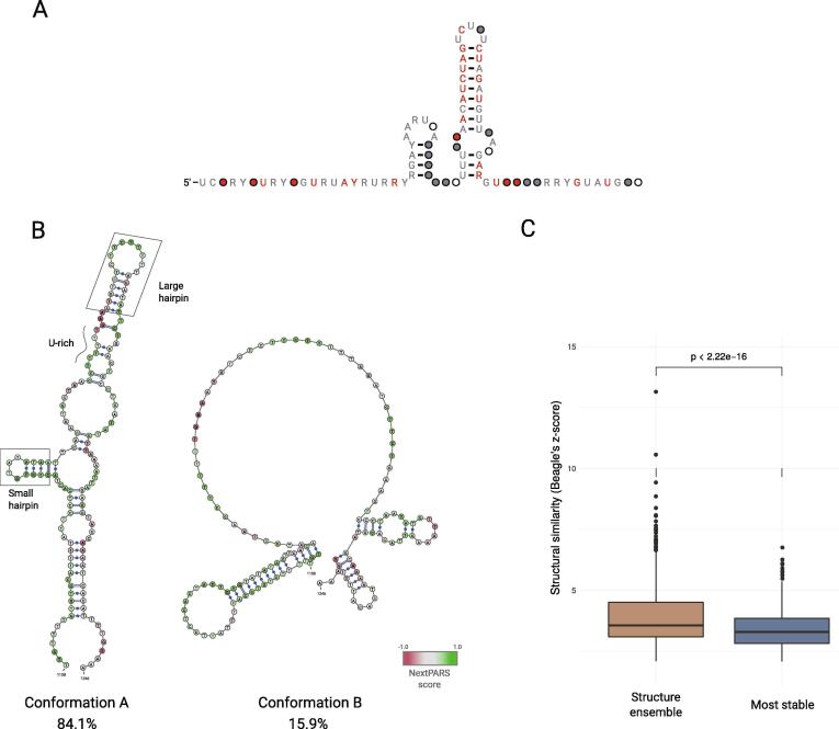 Fig. 4