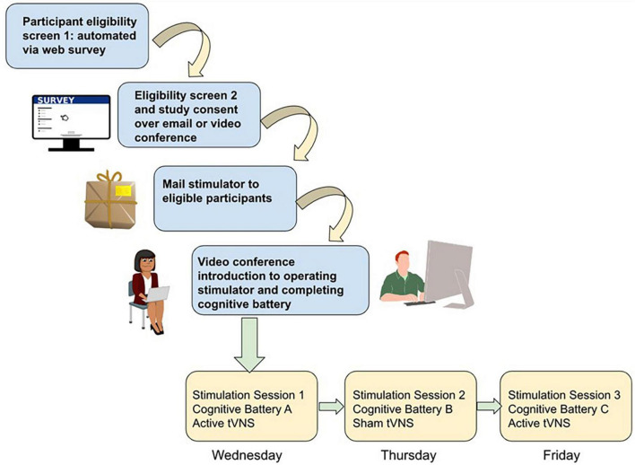 FIGURE 1