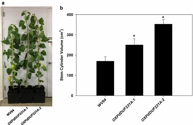 Fig. 7