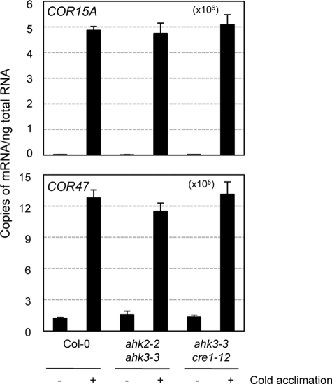 FIGURE 10.