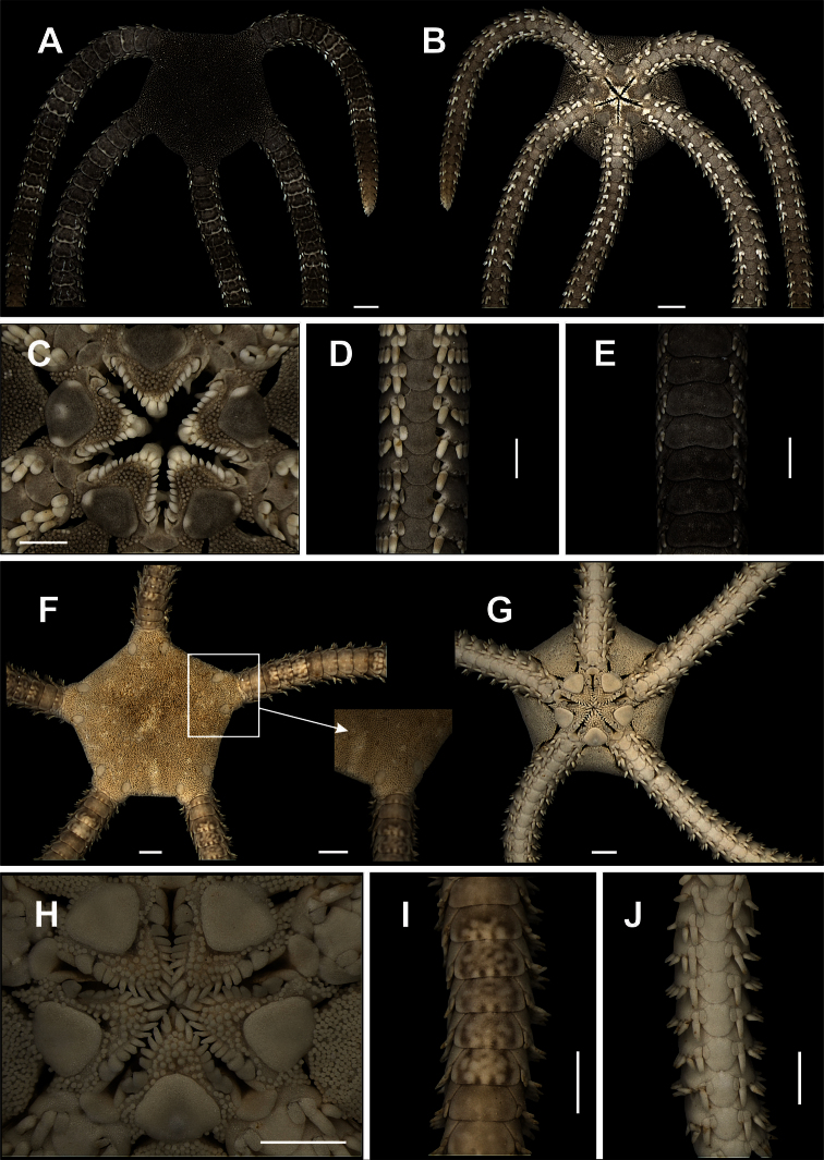 Figure 13.