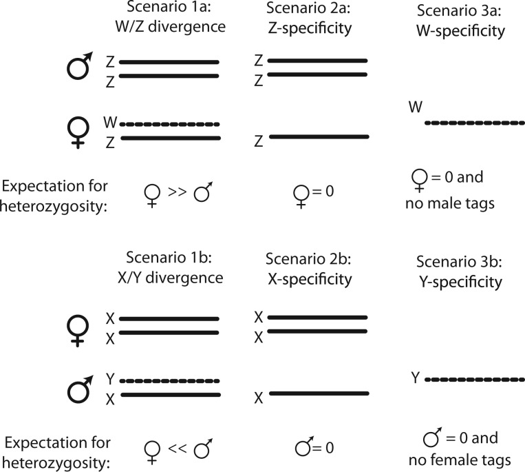 Fig. 1.—